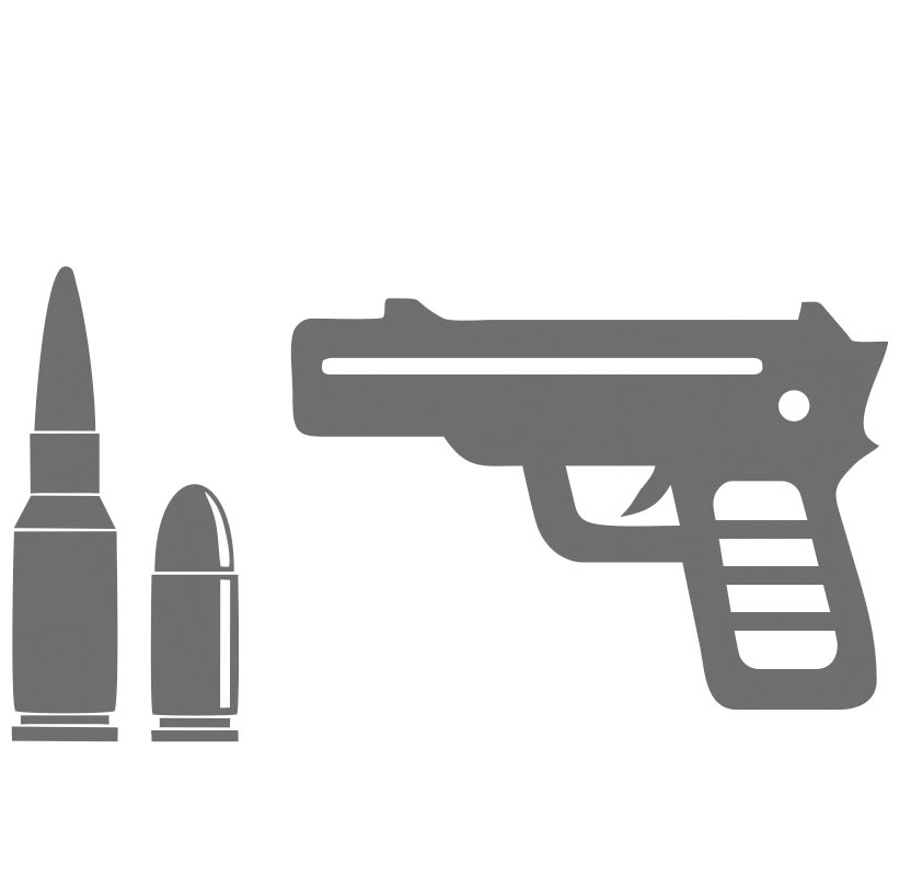Poligon de tragere - Arme si munitii variate